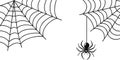 Spider Web Illustration Hanging Spider Halloween Nature Design Royalty Free Stock Photo