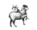 Stylized Illustration Of The Vagabond Sheep Wearing A Cap On His Headher Head. Wandering Sheep With A Bundle On A Stick