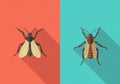Stylized illustrations of two insects on a contrasting background Royalty Free Stock Photo