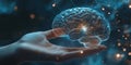 A Human Hand Holding a Digitalized Representation of the Brain Royalty Free Stock Photo