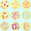 Stylized image of different types of bacteria Royalty Free Stock Photo