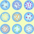 Stylized image of different types of bacteria