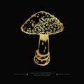 A stylized image of a psilocybin mushroom. Hand drawn toadstool concept. Golden drawing of hallucinogenic mushroom. Fly agaric