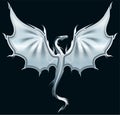 Stylized image of silver Dragon silhouette on black background