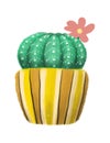 stylized image of a small flowering cactus