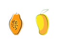 Stylized juicy mango and papaya fruit, isolated on a white background. Vector flat illustration