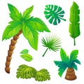 Stylized Jungle Trees Set