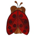 stylized ladybug