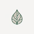 A stylized leaf illustration with a geometric lace-like pattern Royalty Free Stock Photo