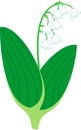 Stylized Lily of the valley or Convallaria majalis with white flowers and two green leaves