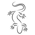 Stylized lizard. Black white reptile illustration. Vector logo lizards. Tattoo.