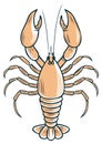 Stylized lobster or crayfish vector illustration for a seafood restaurant menu or logo design Royalty Free Stock Photo
