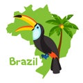 Stylized map of Brazil with toucan and palm tree