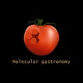 Stylized molecular tomato structure. Molecular gastronomy. Vector illustration.