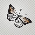 Stylized Monarch Butterfly black line icon isolated on transparent background Royalty Free Stock Photo