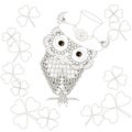 Stylized monochrome owl at hat with clover, doodle style anti stress