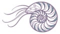 Stylized Nautilus Shell and Flowing Lines, Organic Design, vector design Generative AI Royalty Free Stock Photo