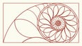 Stylized Nautilus Shell Spiral Vector, vector design Generative AI Royalty Free Stock Photo