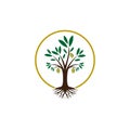 Stylized Olive Tree with Roots Logo Royalty Free Stock Photo