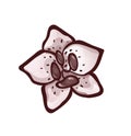 Stylized orchid bud, top view. Monochrome icon