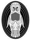 Stylized owl with patterned body surfaces