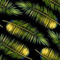 Stylized palm background