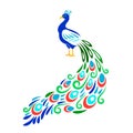 Stylized peacock. Color ornament peecoock animal with floral style tail feathers, cutting vector ornamental design