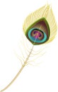 Stylized Peacock feather Royalty Free Stock Photo