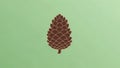 A stylized pine cone illustration is centered on a light green background. The pine cone is Royalty Free Stock Photo