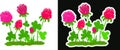 Stylized pink clover flowers. Children s illustration and sticker