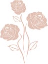 Stylized pink roses isolated on the white