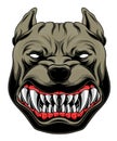 Stylized pitbull head Royalty Free Stock Photo