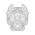 Stylized Pitbull Head Zentangle Art Royalty Free Stock Photo