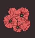 Stylized poppy flowers