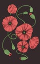 Stylized poppy flowers