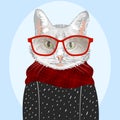 Stylized portrait of a cat in wearing glasses, sweater and a checkered scarf