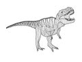 Stylized predatory dinosaur tyrannosaurus coloring page on a white background.