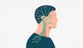 Human Head and Neck Lymphatic System Illustration Royalty Free Stock Photo