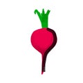 Stylized purple color beet illustration on white