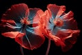 Stylized red poppies flowers on black background. Remembrance Day, Armistice Day, Anzac day symbol Royalty Free Stock Photo