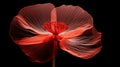 Stylized red poppy flower on black background. Remembrance Day, Armistice Day, Anzac day symbol Royalty Free Stock Photo