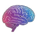 A stylized representation of the brain showcasing both artistic creativity Royalty Free Stock Photo