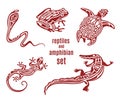 Stylized reptiles and amphibian icon set