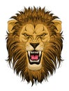 Roaring lion head Royalty Free Stock Photo