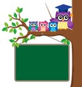 Stylized school owl theme image 6 Royalty Free Stock Photo