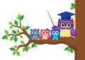 Stylized school owl theme image 5 Royalty Free Stock Photo