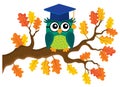 Stylized school owl theme image 8 Royalty Free Stock Photo