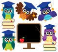 Stylized school owls theme set 1 Royalty Free Stock Photo