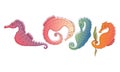 Stylized Sea Horses with Bony Armour and Prehensile Tail Vector Set