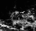 Stylized seascape with flying seagull,ripple,rock,coastline in black and white design